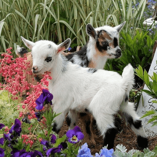 tumblr_ppl5rqrogo1qa49m9o1_1280.jpg