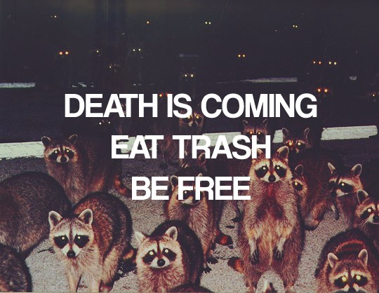 Death is coming, eat trash, be free
