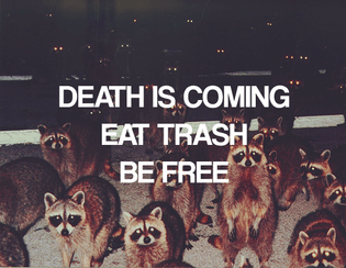 Death is coming, eat trash, be free
