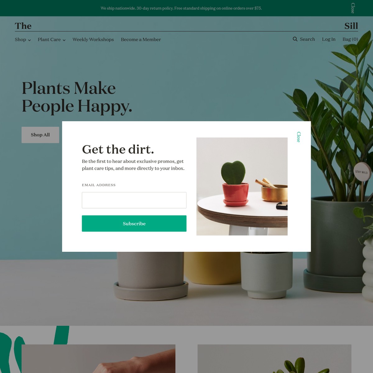 Indoor Potted Plants Delivered to Your Door — Are.na