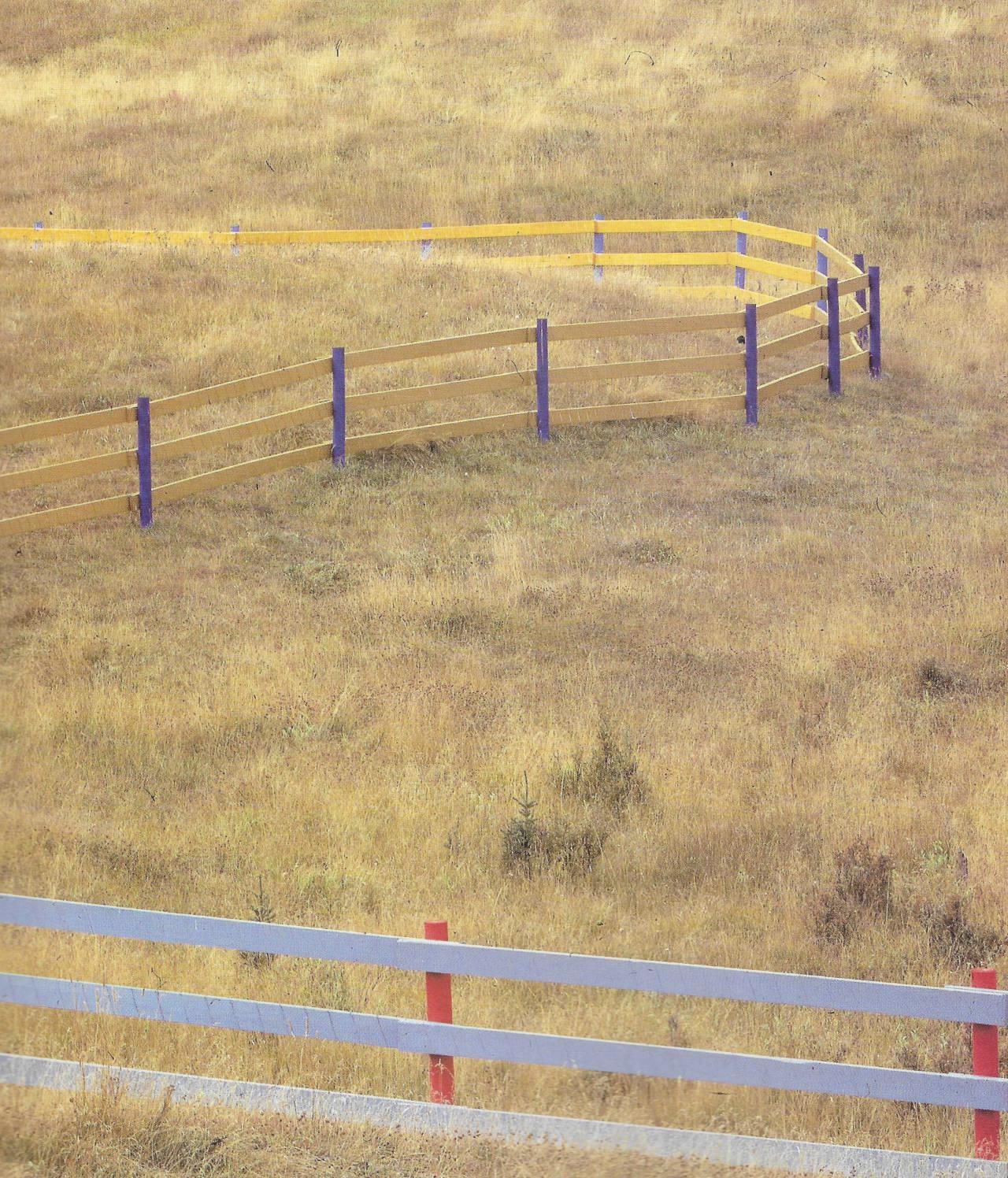 ‘fences’ by alan wood, 1983