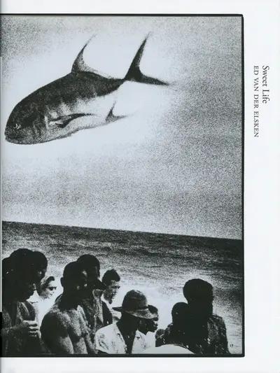 ed van der elsken sharks - Google Search