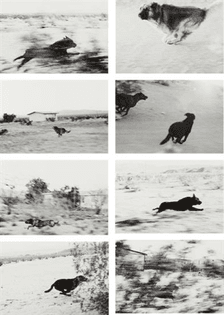 john-divola-selected-images-from-dogs-chasing-my-car-in-the-desert.jpg
