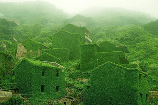 Abandoned Chinese fishing village reclaimed by nature