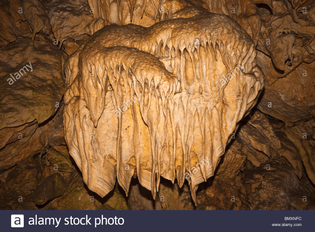 flowstone-and-cave-bacon-drapery-formations-at-ngilgi-cave-a-limestone-bmxnfc.jpg