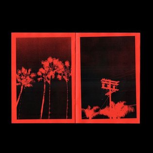 PLAMS: a photo documentation of palm trees in and around LA. 12 page xerox zine on red by us. Link in bio.