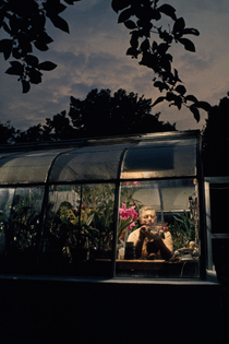 An amateur orchid grower works in the window of his greenhouse in Silver Spring, Maryland, April 1971.Photograph by Gordon Gahan, National Geographic