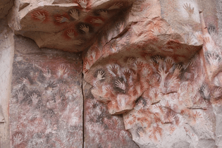 cueva-de-las-manos-5[10].jpg