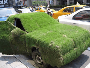grass-covered-car-camouflage.jpg