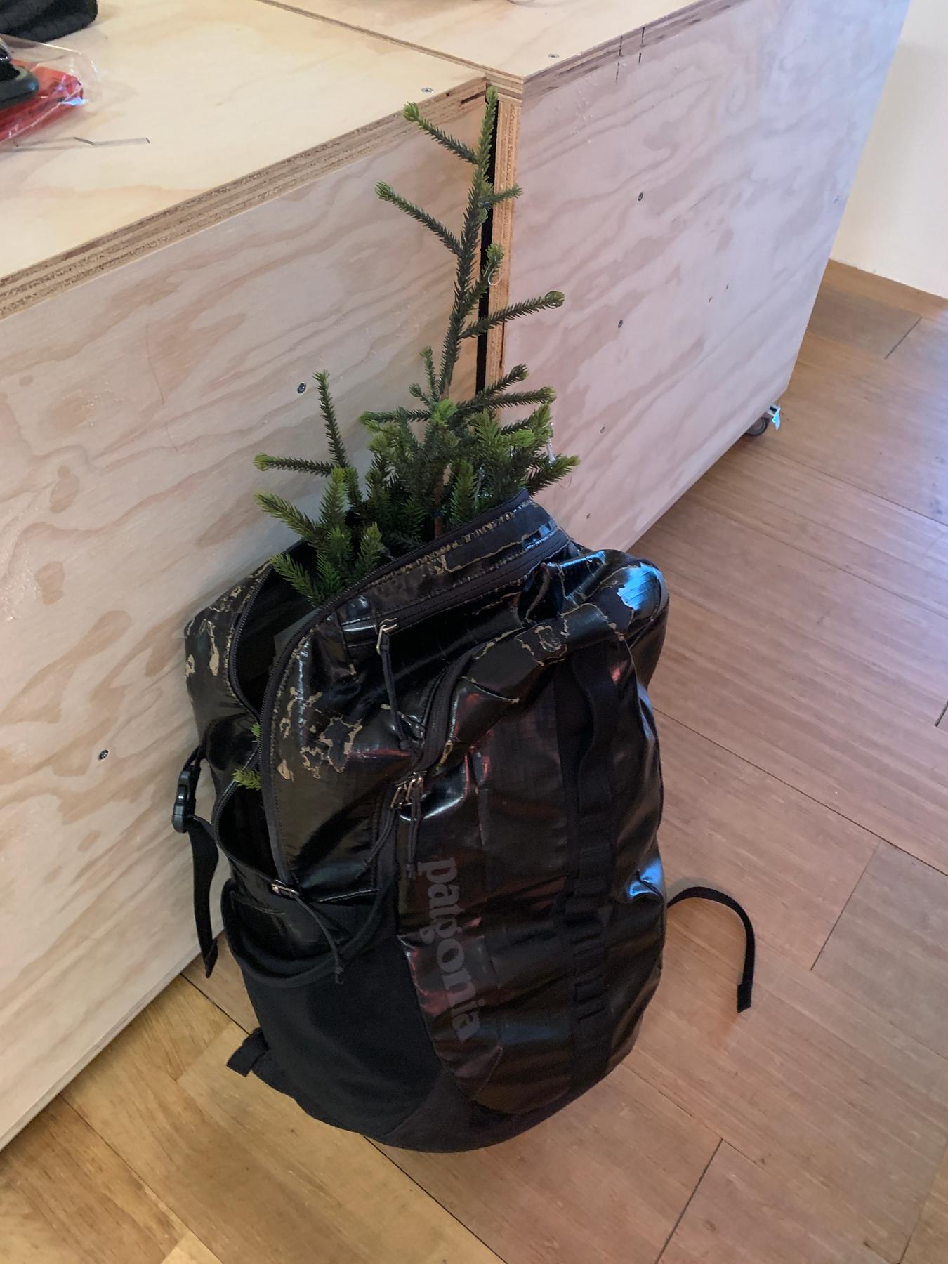 Emma's portable 🎄