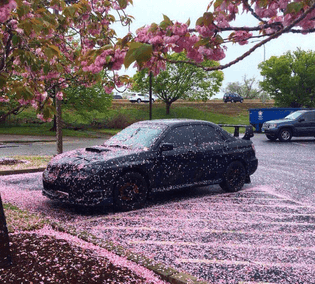 toyota-mr2.jpg