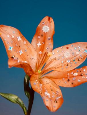 Pin on 2025 inspo 🍋‍🟩🍇