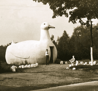 duck1.jpg