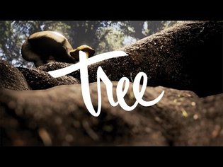 Tree VR - Seedling