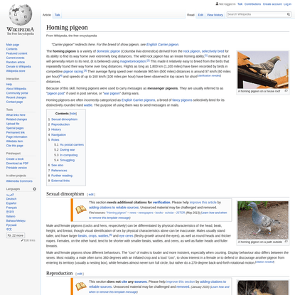 Homing pigeon - Wikipedia
