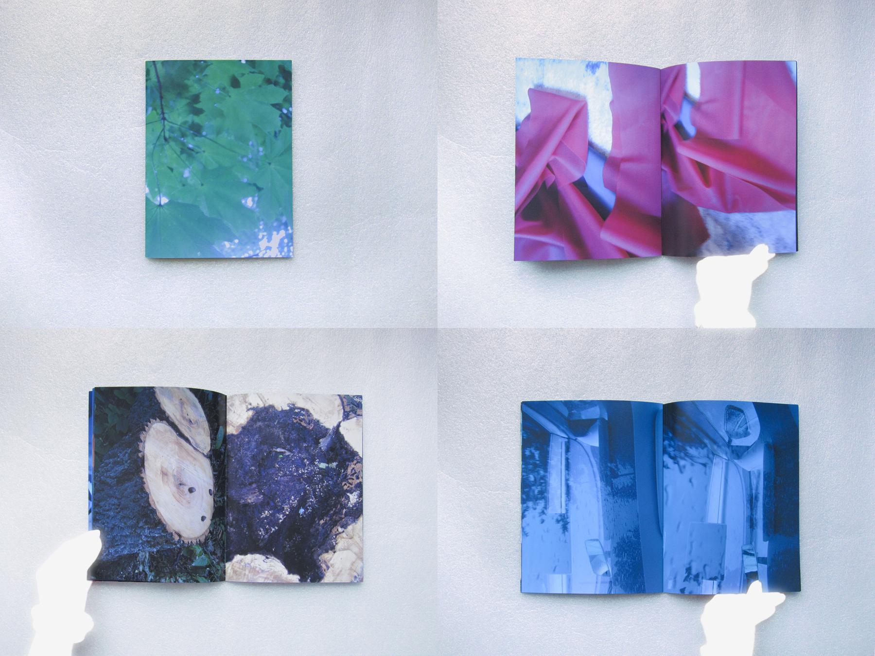 Quantified nature reserve, 2025 / Carol Yuan