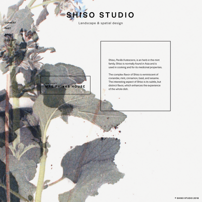 SHISO STUDIO
