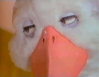 Puppet, photo, video still, frame, funny animals, duck, bird