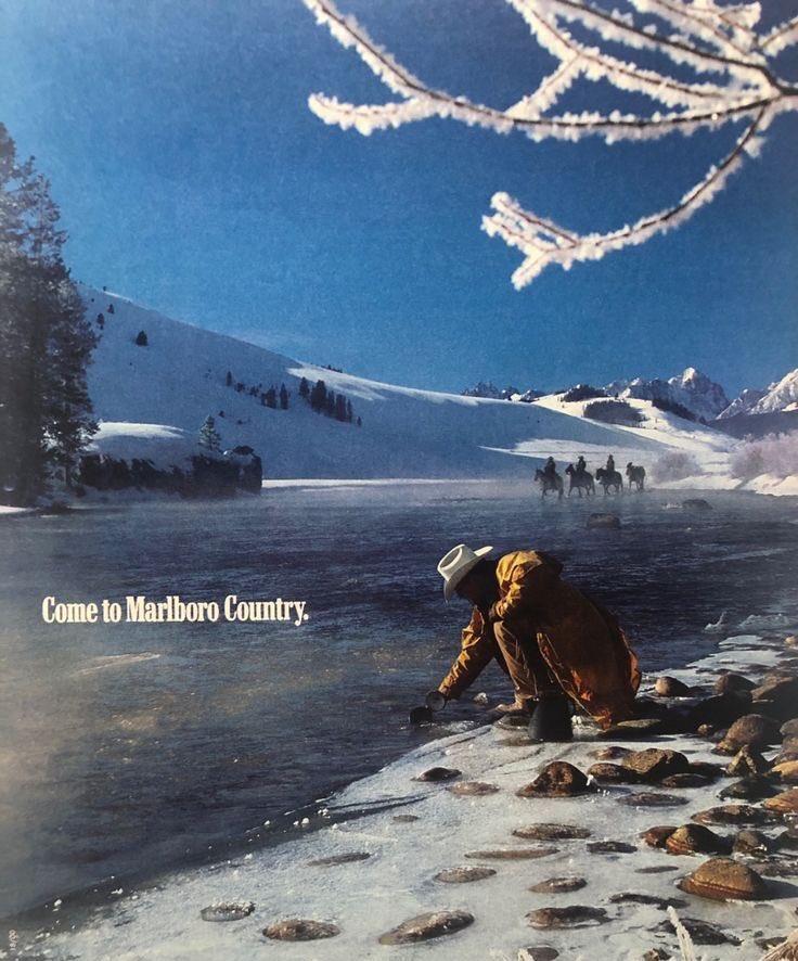 preview of G6ZRZ6zXEAA9GI2.jpg (736×886)