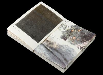 Four-color print of the ecological printed plants catalog publication about sustainable graphic design. 