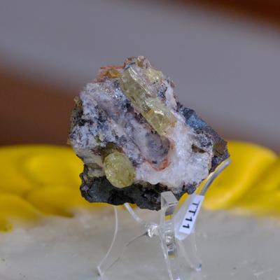 Apatite