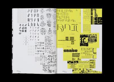 korel_vc_diploma_publication_10.webp