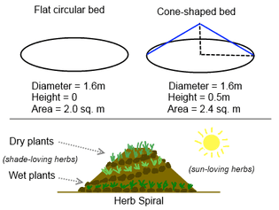 Herb Spiral - Increasing Edge
