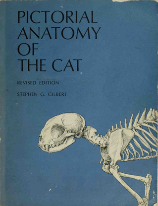 Pictorial Anatomy of the Cat, by Stephen G. Gilbert [.pdf]