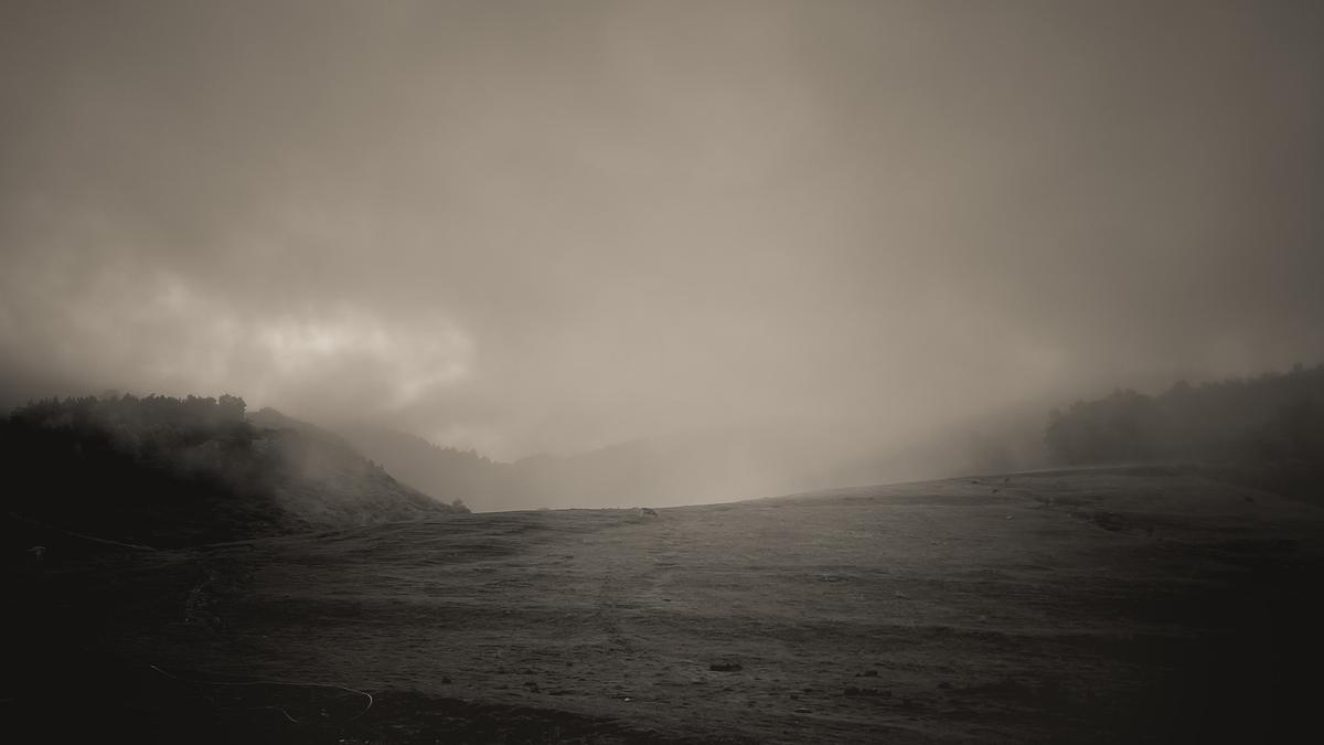 Bordes de Tressó, 2021