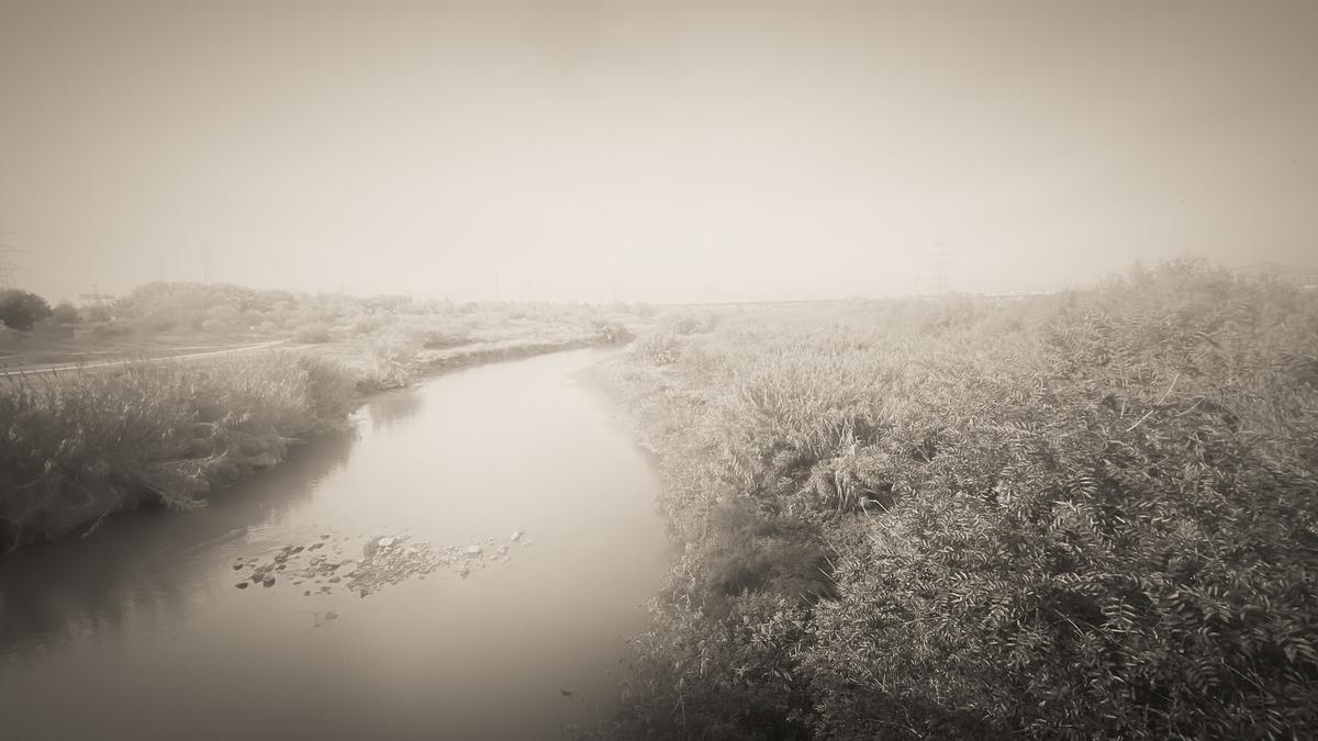 El Llobregat (L'Hospitalet) , 2021