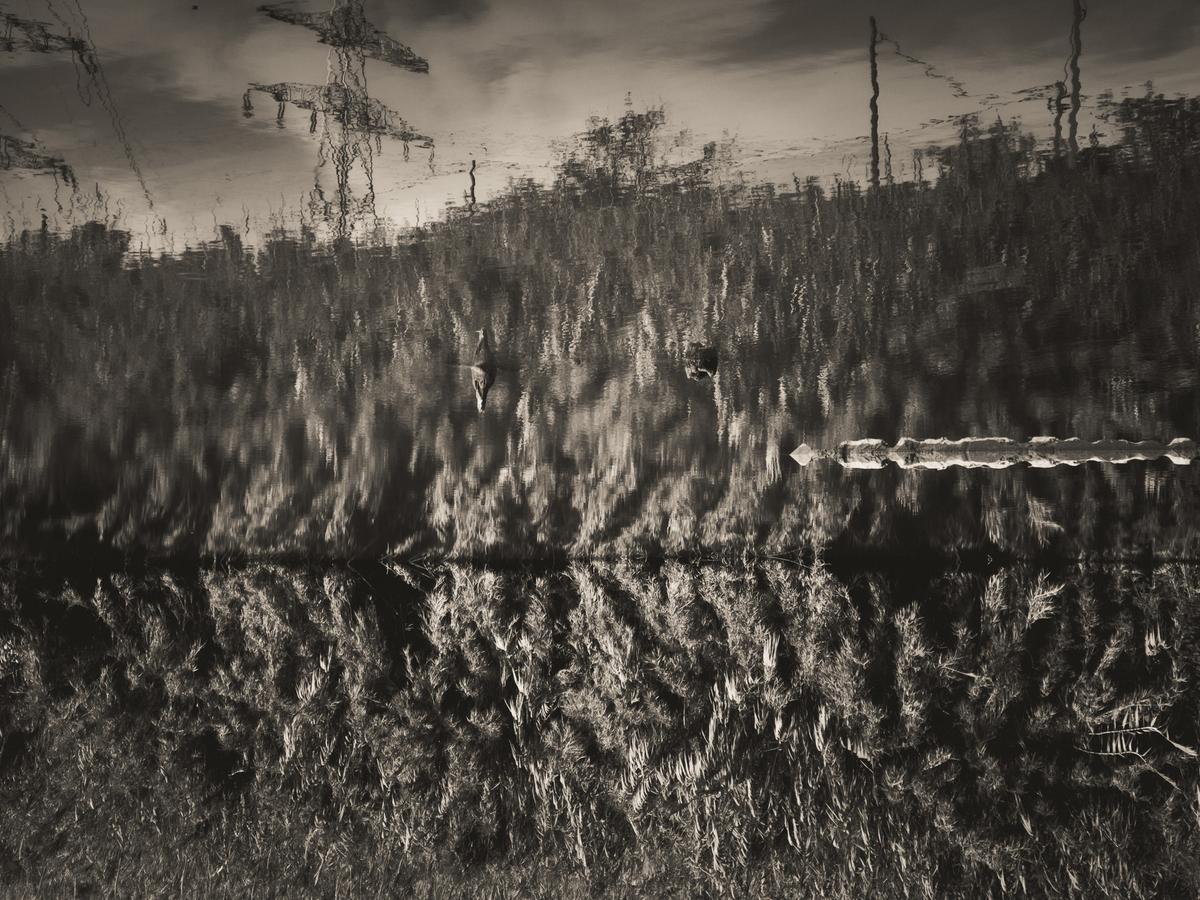 El Llobregat (El Prat), 2021