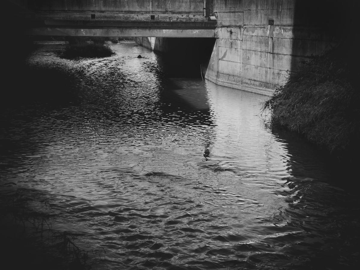 La Morla, Bergamo, 2024