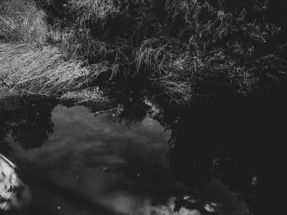 Riera de Mujal (La Entrega I), 2018