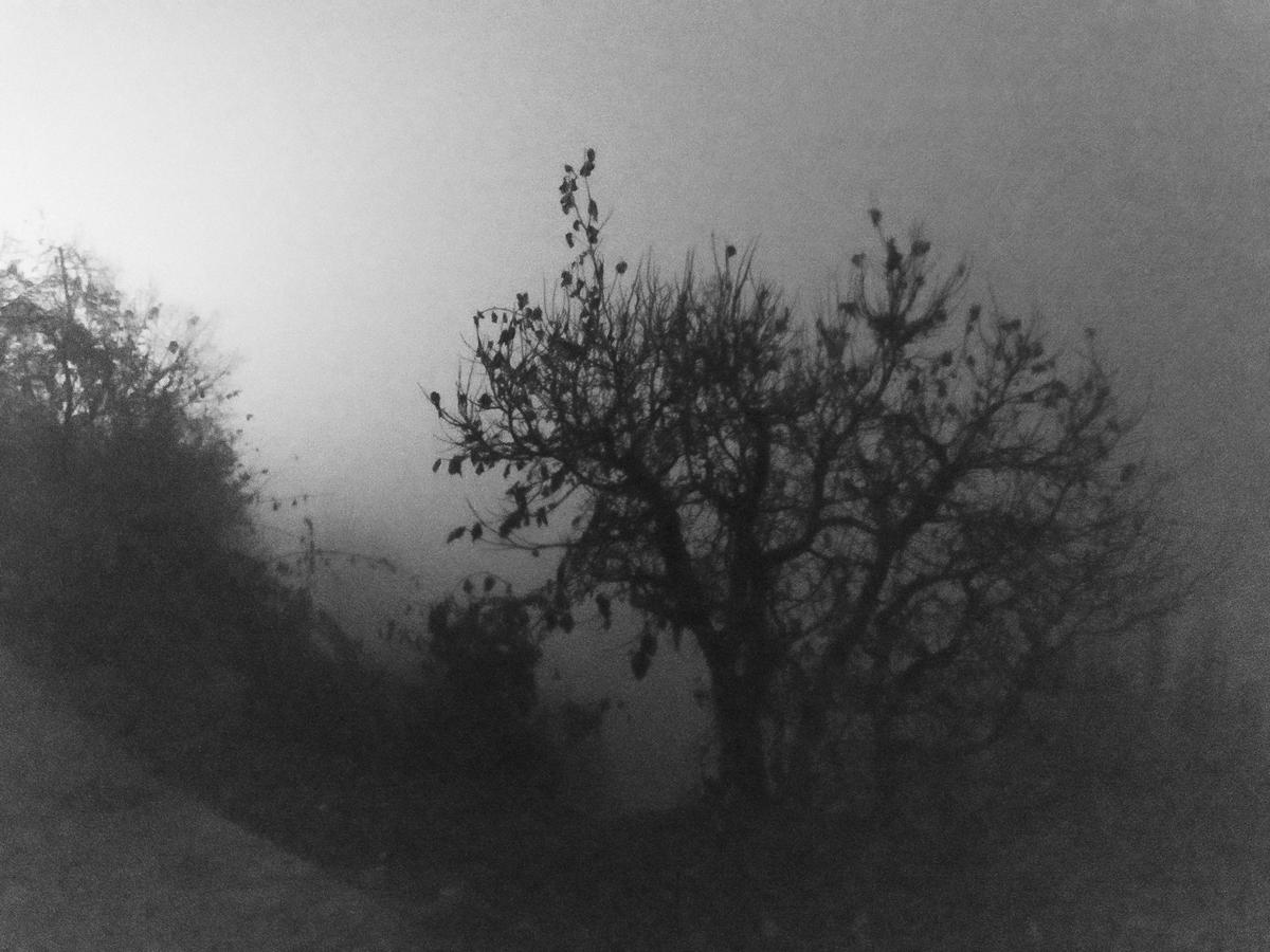 Farrera, (La Entrega I), 2018