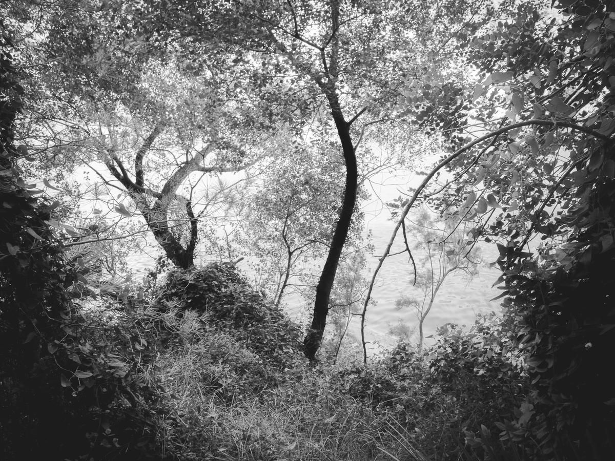 L' Ebre (entre Benifallet i Miravet), 2022