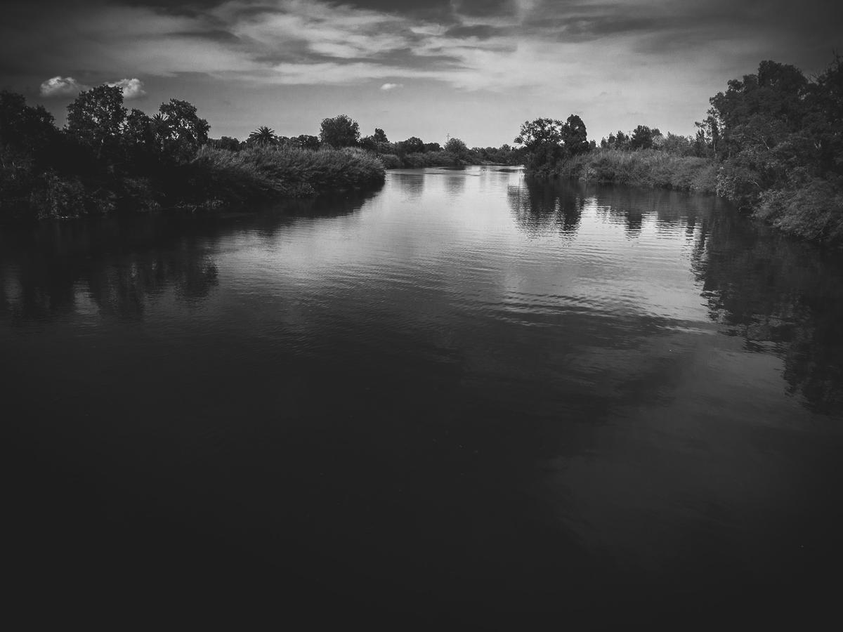 L' Ebre (Balada), 2022