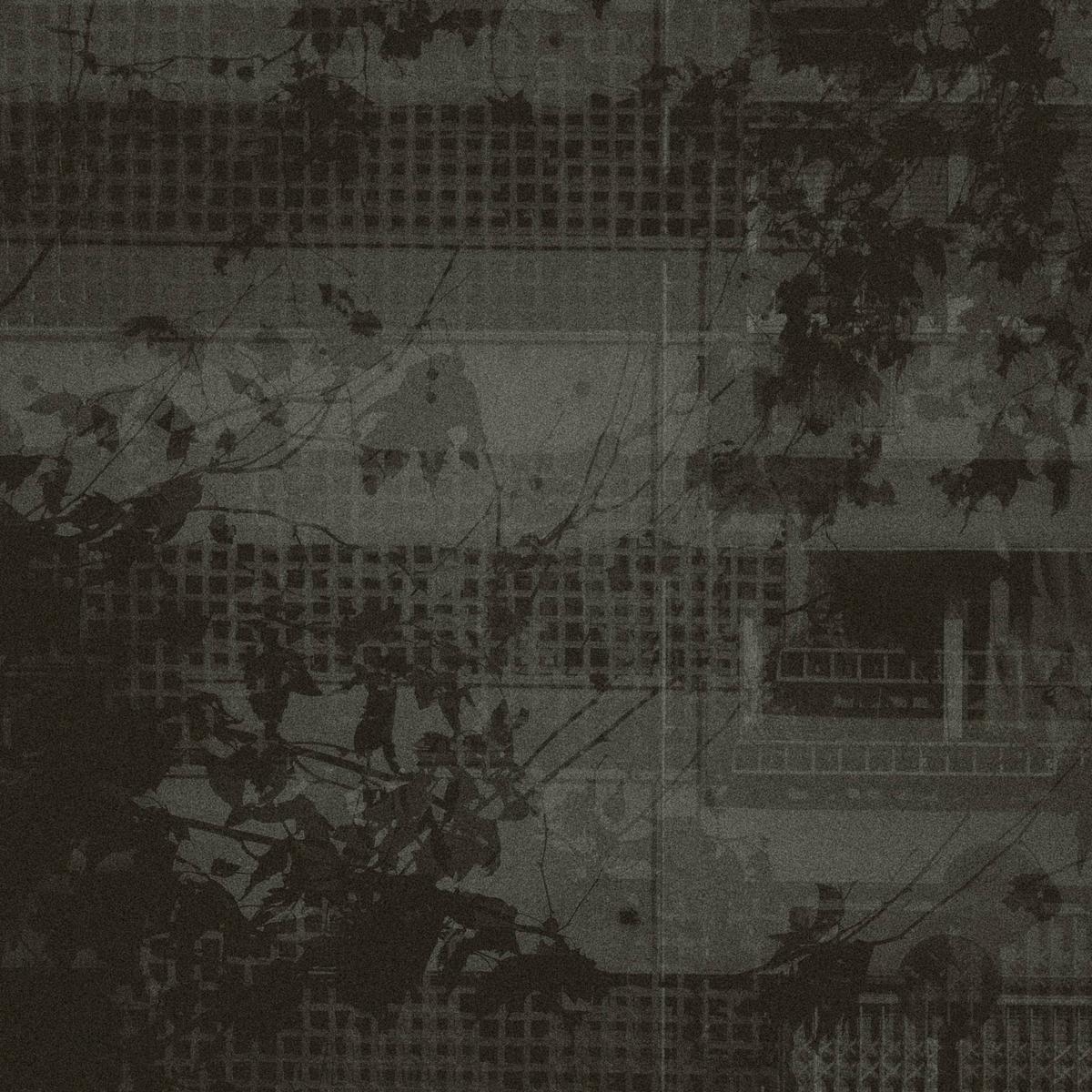 Hojas, Barcelona, 2025