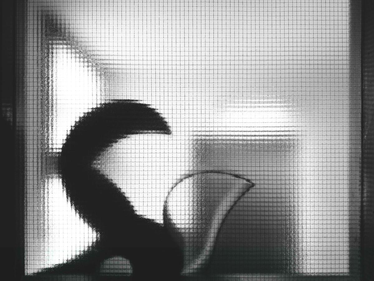 Piramidón, Barcelona, 2025