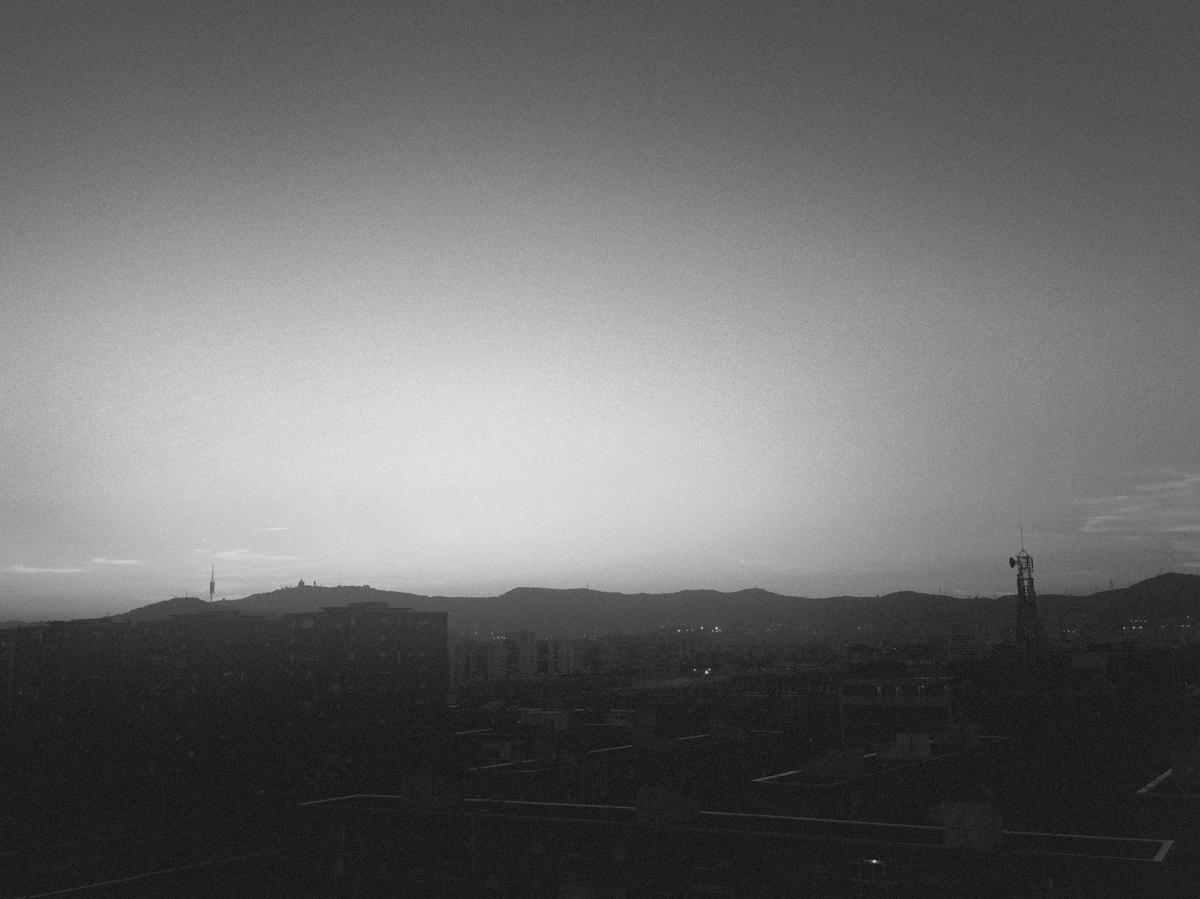 Collserola, Barcelona, 2025