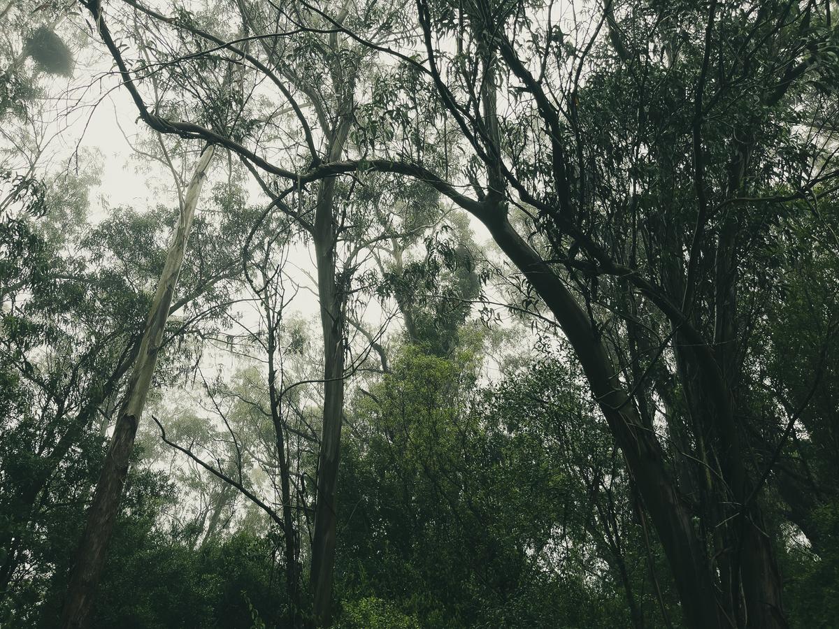 La Porfía (UR), 2023