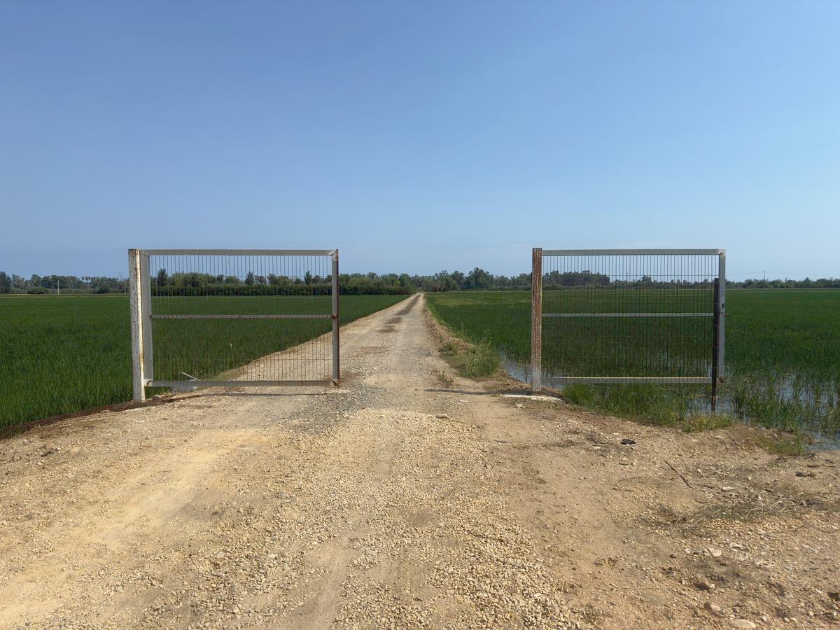 Delta de l'Ebre, 2025