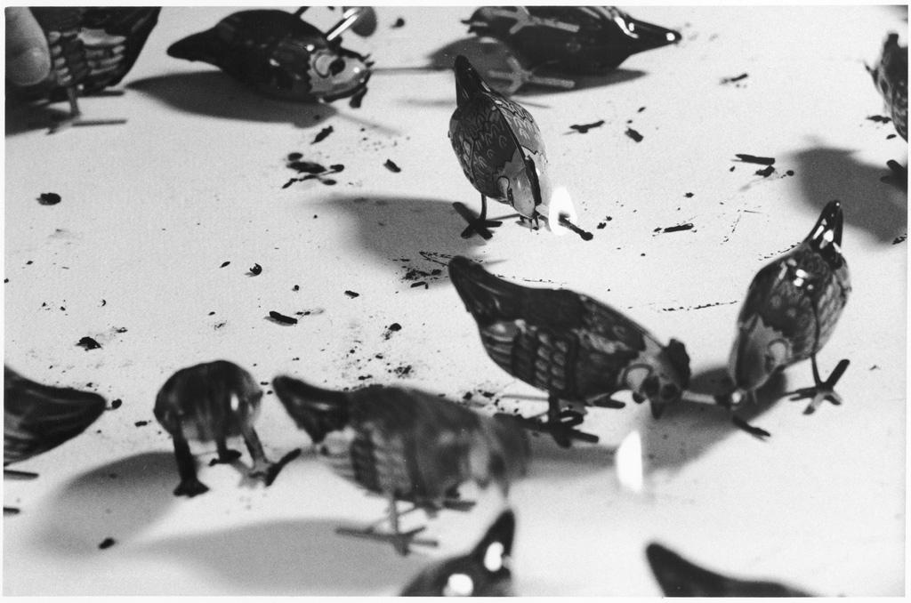 Day 58 • From: Drawing with Mechanical Birds, Milan Grygar