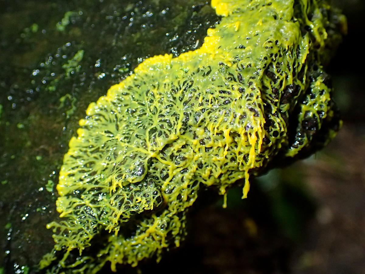 Day 62 • From patterns