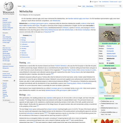Welwitschia - Wikipedia