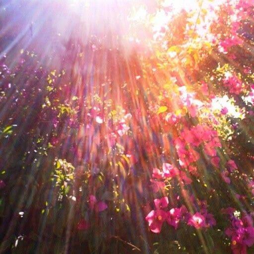 preview of colorsss.jpg