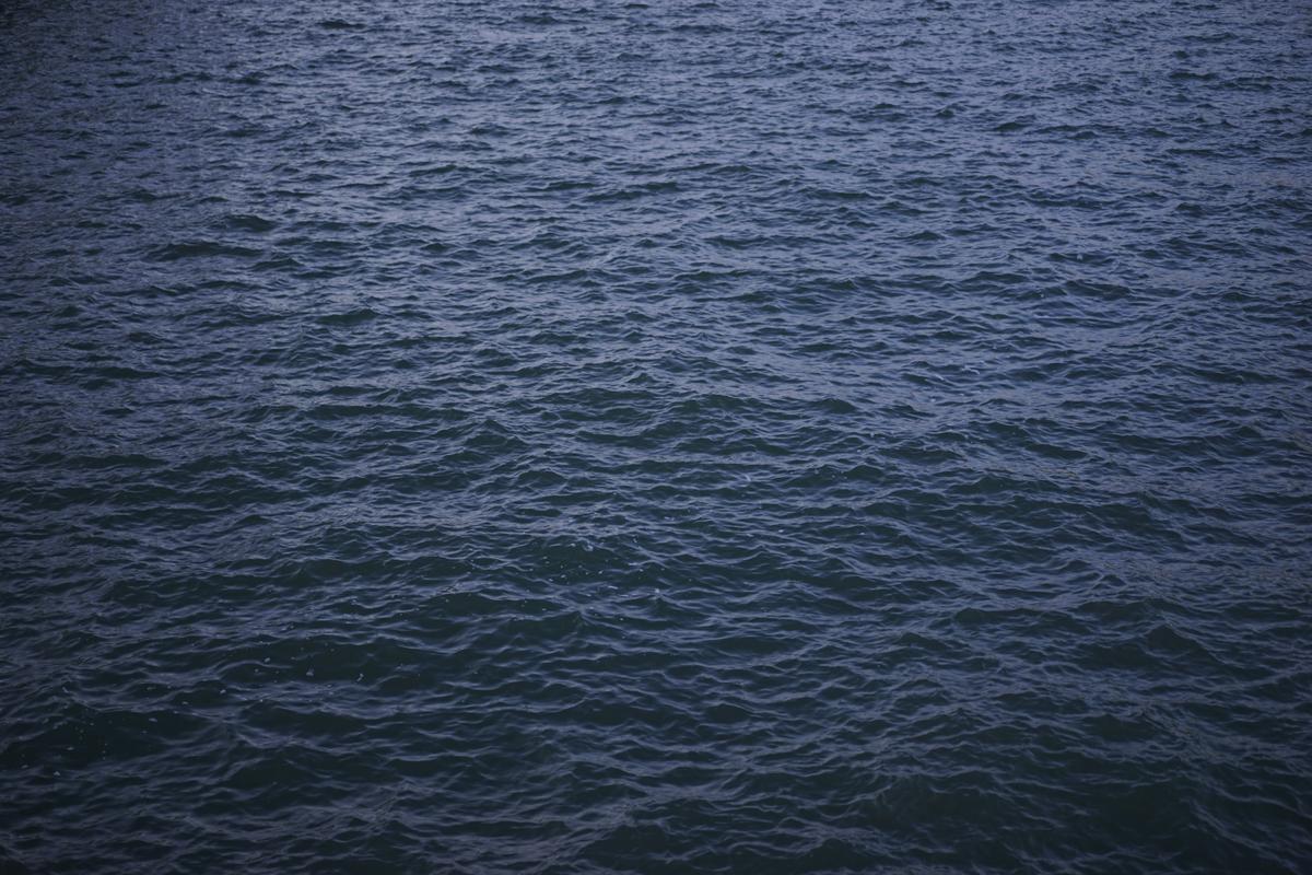 2016-10-31_lwurlrtj8py.jpg