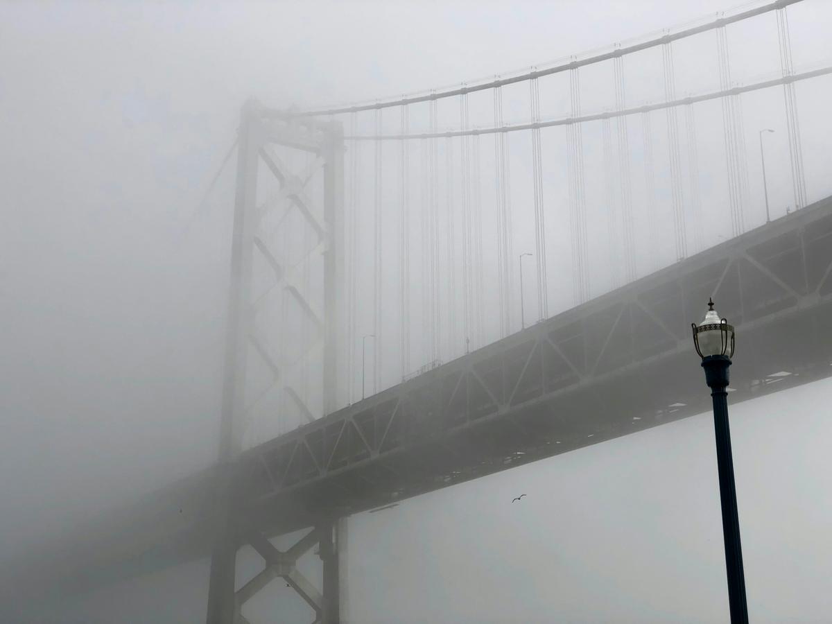 2018-01-13_fgsg3ub6e6a.jpg
