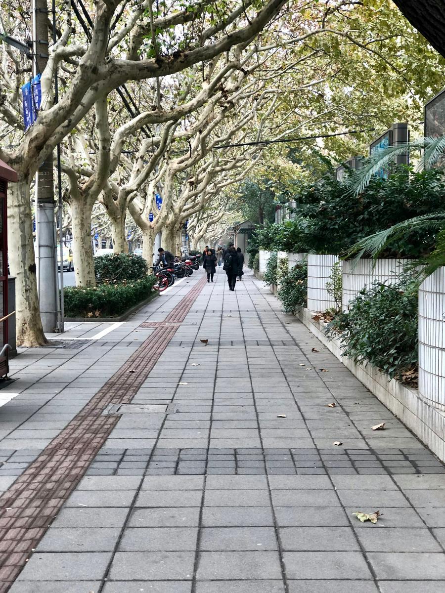 2019-02-27_4xh0vbw9q2y.jpg