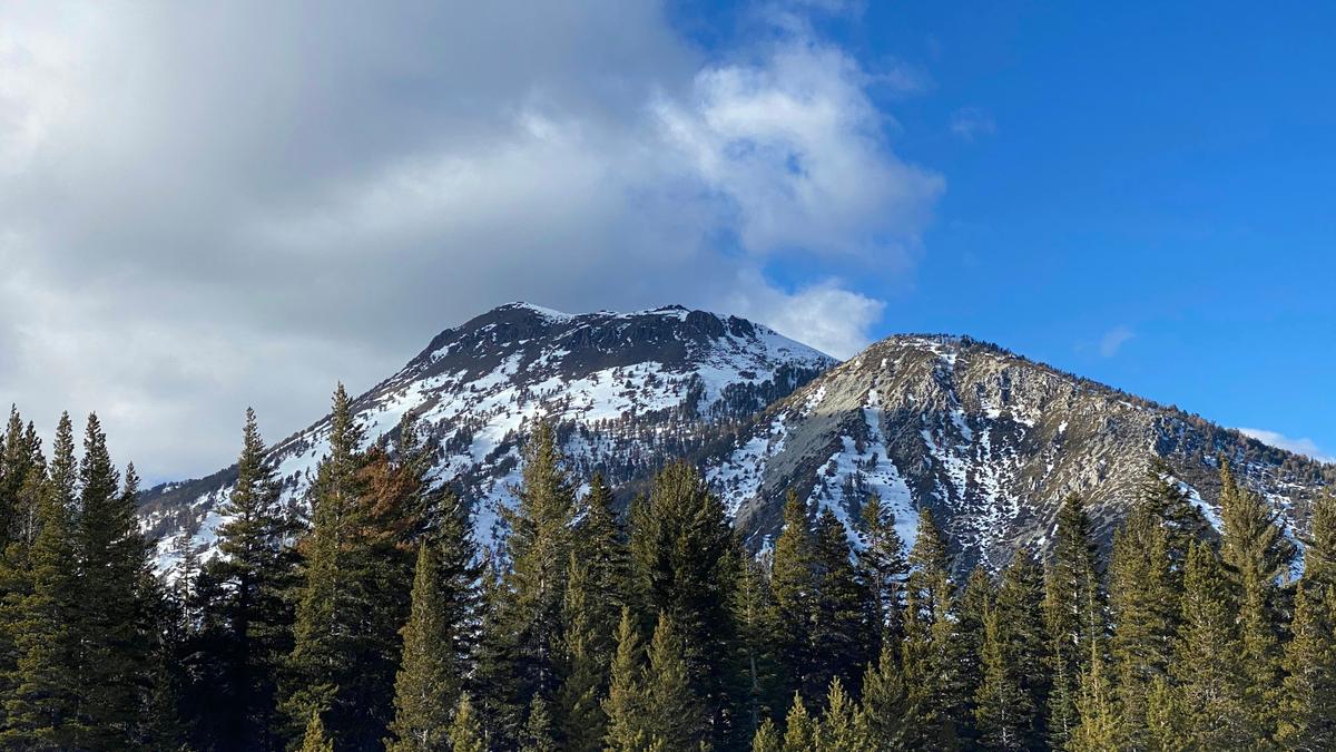 2020-03-25_green-pine-trees-near-snow-covered-mountain-under-blue-and-white-cloudy-sky-duri.jpg