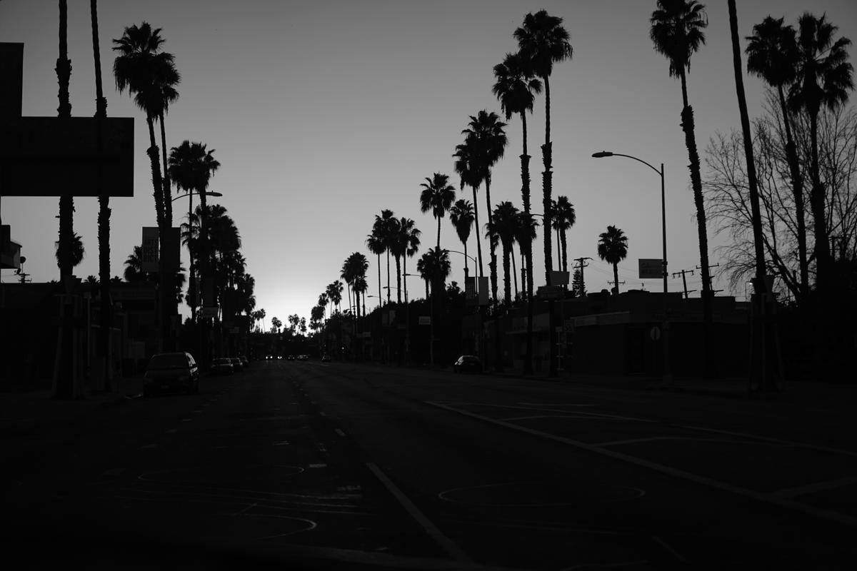 2022-12-01_a-street-with-palm-trees-on-the-side-emzolxpbqbi.jpg